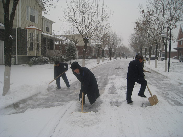 铲雪